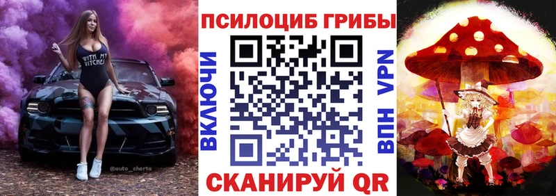 Галлюциногенные грибы Psilocybine cubensis  наркотики  Жигулёвск 